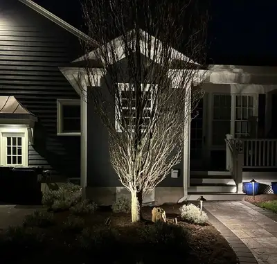 Night: small ornamental tree uplit against the house near a paver walk, steps and deck railing.