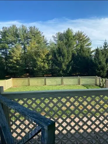 New light-colored wood privacy fence with lattice top enclosing a backyard with evergreen trees.